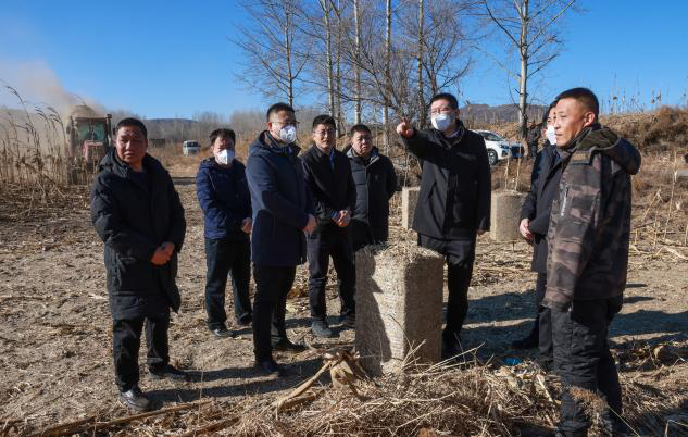 阳泉市委常委、平定县委书记李明调研林草防火和林缘地秸秆清理工作